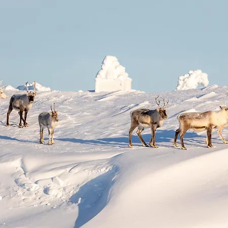 Διαμέρισμα 1407 Visit