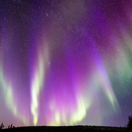 1407 Visit Διαμέρισμα *